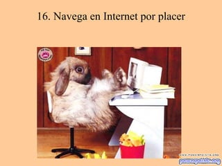 16. Navega en Internet por placer