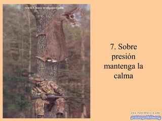 7. Sobre
presión
mantenga la
calma