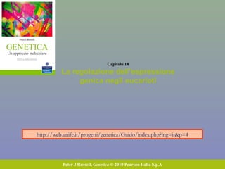 Capitolo 18
La regolazione dell’espressione
genica negli eucarioti
Peter J Russell, Genetica © 2010 Pearson Italia S.p.A
http://web.unife.it/progetti/genetica/Guido/index.php?lng=it&p=4
 