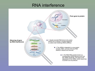 RNA interference
 