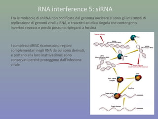 RNA interference 5: siRNA
Fra le molecole di shRNA non codificate dal genoma nucleare ci sono gli intermedi di
replicazione di genomi virali a RNA, o trascritti ad elica singola che contengono
inverted repeats e perciò possono ripiegarsi a forcina
I complessi siRISC riconoscono regioni
complementari negli RNA da cui sono derivati,
e portano alla loro inattivazione: sono
conservati perché proteggono dall’infezione
virale
 