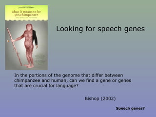 Looking for speech genes
Bishop (2002)
In the portions of the genome that differ between
chimpanzee and human, can we find a gene or genes
that are crucial for language?
Speech genes?
 