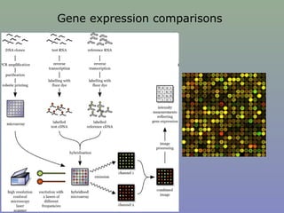Gene expression comparisons
 