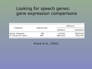 Looking for speech genes:
gene expression comparisons
Enard et al. (2002)
 