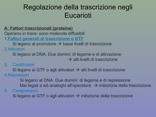 Regolazione della trascrizione negli
Eucarioti
A: Fattori trascrizionali (proteine)
Operano in trans: sono molecole diffusibili
1.Fattori generali di trascrizione o GTF
Si legano al promotore  bassi livelli di trascrizione
2.Attivatori
Si legano al DNA. Due domini: di legame e di attivazione
 alti livelli di trascrizione
3. Coattivatori
Si legano ai GTF o agli attivatori  alti livelli di trascrizione
4.Repressori
Si legano al DNA. Due domini: di legame e di repressione
Mai legati a siti analoghi all’operatore  inibizione della trascrizione
5. Corepressori
Si legano ai GTF o agli attivatori  inibizione della trascrizione
 