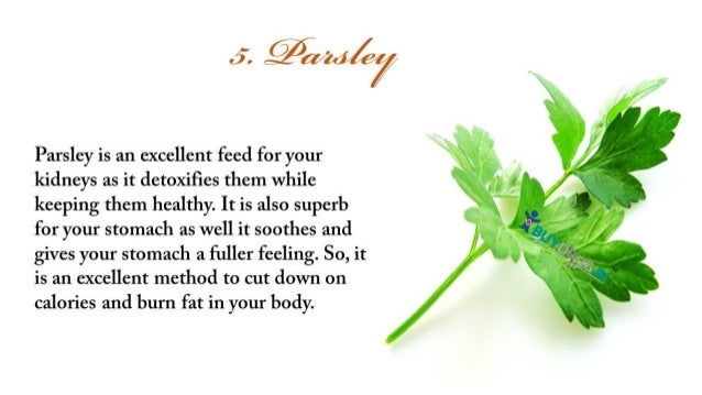 2 day fat loss routine image 6
