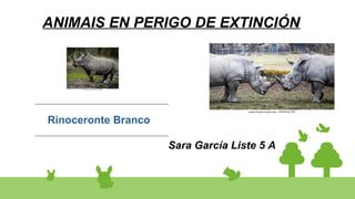 ANIMAIS EN PERIGO DE EXTINCIÓN
ANIMAIS EN PERIGO DE EXTINCIÓN
Sara García Liste 5 A
Rinoceronte Branco
 