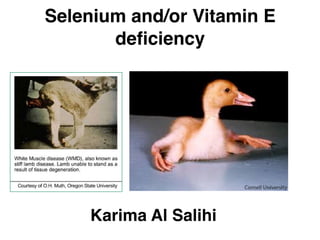 Selenium and/or Vitamin E
deficiency
Karima Al Salihi
 
