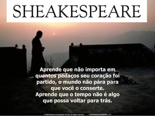 Aprende que não importa em quantos pedaços seu coração foi partido, o mundo não pára para que você o conserte. Aprende que o tempo não é algo que possa voltar para trás. 