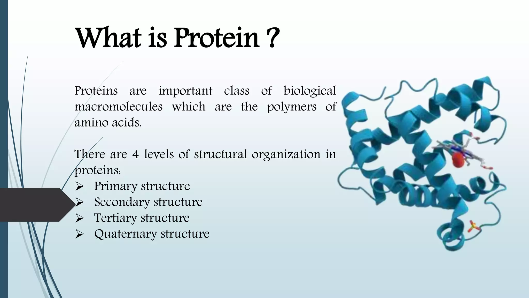 Structure of Protein | PPTX