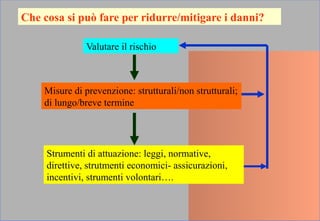 Che cosa si può fare per ridurre/mitigare i danni?
Valutare il rischio
Misure di prevenzione: strutturali/non strutturali;
di lungo/breve termine
Strumenti di attuazione: leggi, normative,
direttive, strutmenti economici- assicurazioni,
incentivi, strumenti volontari….
 