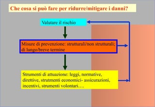 Che cosa si può fare per ridurre/mitigare i danni?
Valutare il rischio
Misure di prevenzione: strutturali/non strutturali;
di lungo/breve termine
Strumenti di attuazione: leggi, normative,
direttive, strutmenti economici- assicurazioni,
incentivi, strumenti volontari….
 