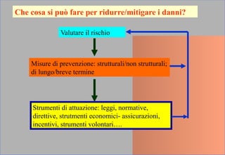 Che cosa si può fare per ridurre/mitigare i danni?
Valutare il rischio
Misure di prevenzione: strutturali/non strutturali;
di lungo/breve termine
Strumenti di attuazione: leggi, normative,
direttive, strutmenti economici- assicurazioni,
incentivi, strumenti volontari….
 