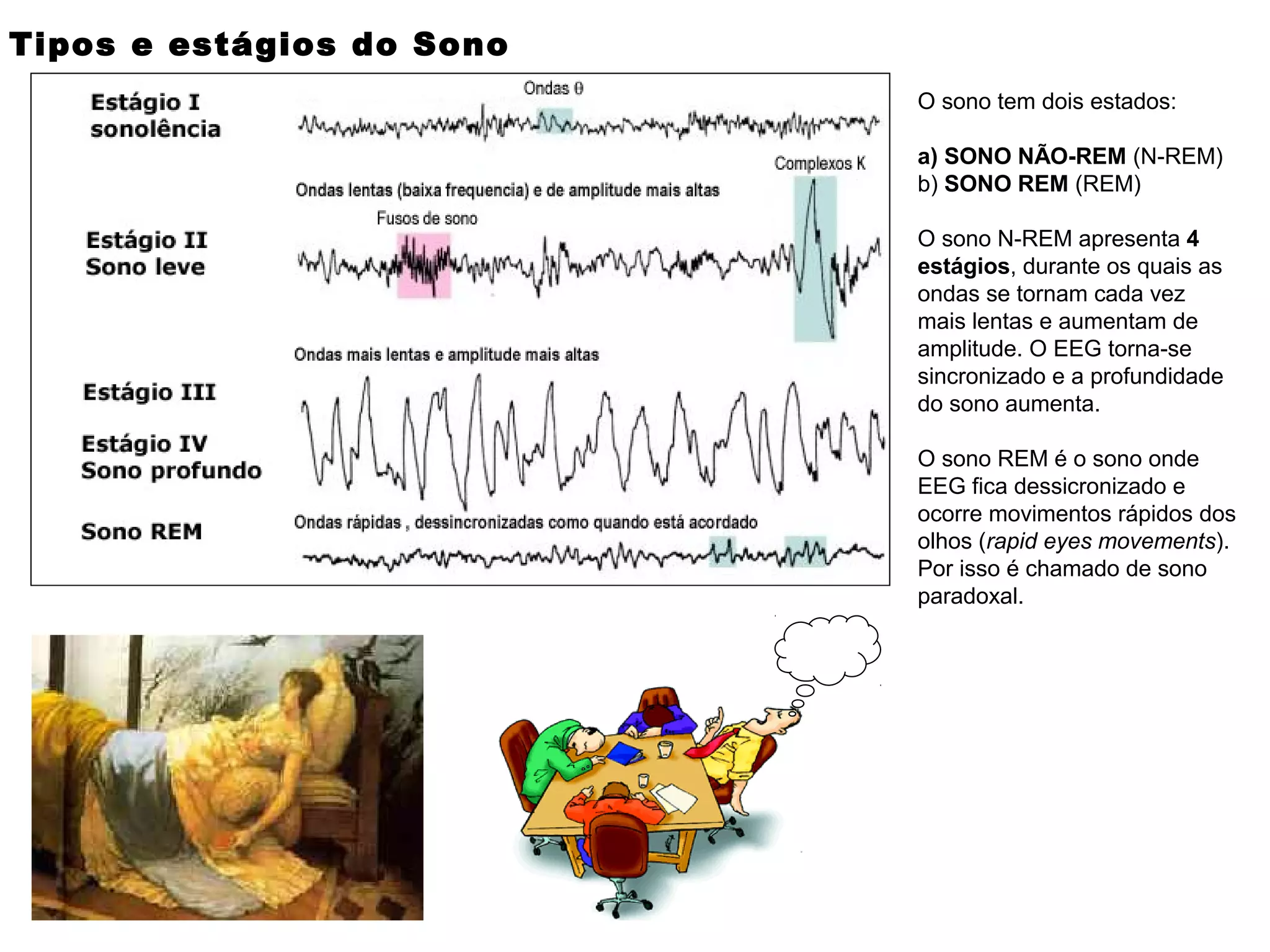 O sono tem dois estados:
a) SONO NÃO-REM (N-REM)
b) SONO REM (REM)
O sono N-REM apresenta 4
estágios, durante os quais as
ondas se tornam cada vez
mais lentas e aumentam de
amplitude. O EEG torna-se
sincronizado e a profundidade
do sono aumenta.
O sono REM é o sono onde
EEG fica dessicronizado e
ocorre movimentos rápidos dos
olhos (rapid eyes movements).
Por isso é chamado de sono
paradoxal.
Tipos e estágios do Sono
 