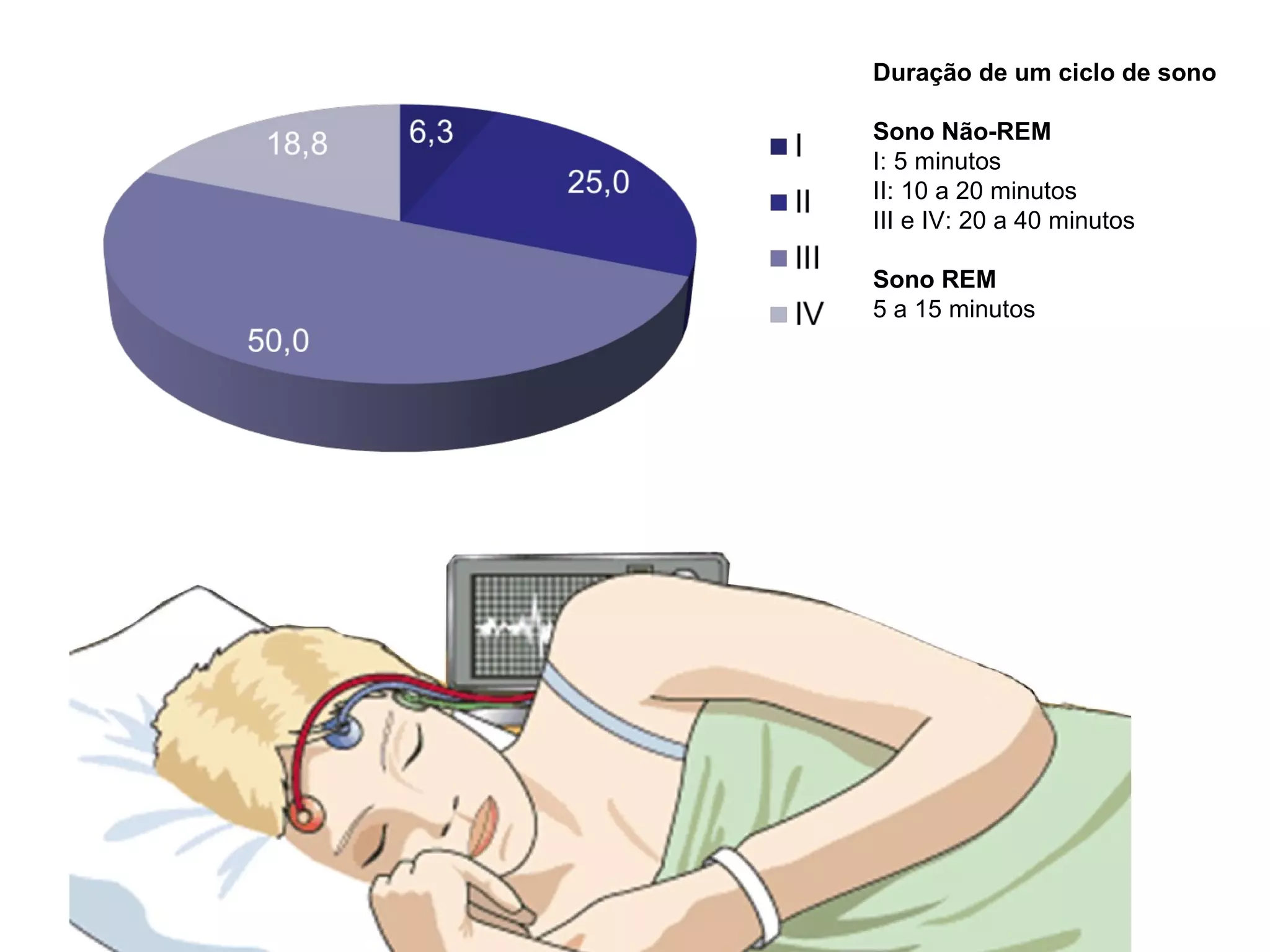 Duração de um ciclo de sono
Sono Não-REM
I: 5 minutos
II: 10 a 20 minutos
III e IV: 20 a 40 minutos
Sono REM
5 a 15 minutos
 