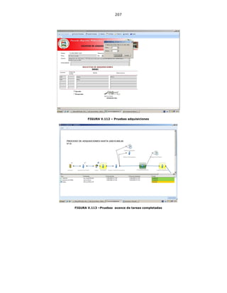 207
FIGURA V.112 – Pruebas adquisiciones
FIGURA V.113 –Pruebas avance de tareas completadas
 