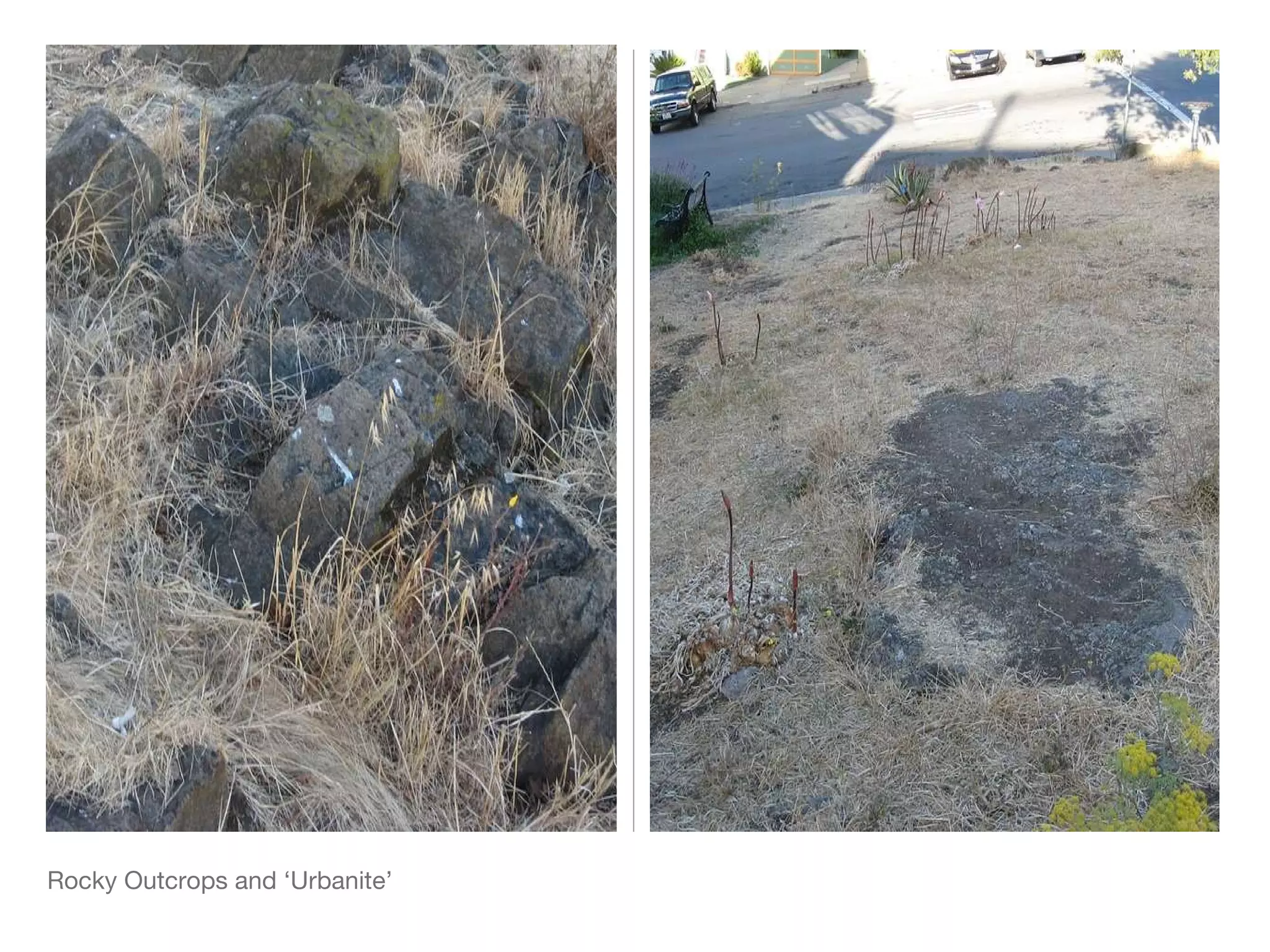 Rocky Outcrops and ‘Urbanite’ 