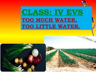 CLASS: IV EVS
      TOO MUCH WATER,
      TOO LITTLE WATER.




Saturday, February 23, 2013   RKN KV3 GWL
 
