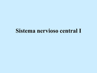 Sistema nervioso central I
 
