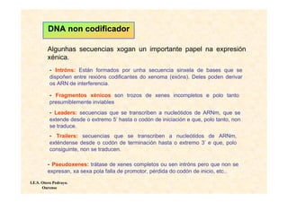 DNA non codificador

         Algunhas secuencias xogan un importante papel na expresión
         xénica.
          - Intróns: Están formados por unha secuencia sinxela de bases que se
          dispoñen entre rexións codificantes do xenoma (exóns). Deles poden derivar
          os ARN de interferencia.

          - Fragmentos xénicos son trozos de xenes incompletos e polo tanto
          presumiblemente inviables
          - Leaders: secuencias que se transcriben a nucleótidos de ARNm, que se
          extende desde o extremo 5’ hasta o codón de iniciación e que, polo tanto, non
          se traduce.
          - Trailers: secuencias que se transcriben a nucleótidos de ARNm,
          exténdense desde o codón de terminación hasta o extremo 3’ e que, polo
          consiguinte, non se traducen.

         - Pseudoxenes: trátase de xenes completos ou sen intróns pero que non se
         expresan, xa sexa pola falla de promotor, pérdida do codón de inicio, etc..

I.E.S. Otero Pedrayo.
       Ourense
 