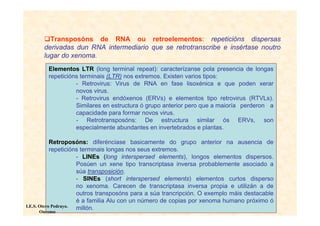 Transposóns de RNA ou retroelementos: repeticións dispersas
      derivadas dun RNA intermediario que se retrotranscribe e insértase noutro
      lugar do xenoma.
        Elementos LTR (long terminal repeat): caracterízanse pola presencia de longas
        repeticións terminais (LTR) nos extremos. Existen varios tipos:
                  - Retrovirus: Virus de RNA en fase lisoxénica e que poden xerar
                  novos virus.
                  - Retrovirus endóxenos (ERVs) e elementos tipo retrovirus (RTVLs).
                  Similares en estructura ó grupo anterior pero que a maioría perderon a
                  capacidade para formar novos virus.
                  - Retrotransposóns: De estructura similar ós ERVs, son
                  especialmente abundantes en invertebrados e plantas.

            Retroposóns: diferénciase basicamente do grupo anterior na ausencia de
            repeticións terminais longas nos seus extremos.
                      - LINEs (long interspersed elements), longos elementos dispersos.
                      Posúen un xene tipo transcriptasa inversa probablemente asociado a
                      súa transposición.
                      - SINEs (short interspersed elements) elementos curtos disperso
                      no xenoma. Carecen de transcriptasa inversa propia e utilizán a de
                      outros transposóns para a súa trancripción. O exemplo máis destacable
                      é a familia Alu con un número de copias por xenoma humano próximo ó
I.E.S. Otero Pedrayo. millón.
    Ourense
 