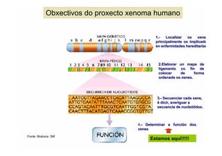 Obxectivos do proxecto xenoma humano


                                            1.-   Localizar  os   xenes
                                                                  xene
                                            principalmente os implicado
                                            en enfermidades hereditarias



                                             2.Elaborar un mapa de
                                             ligamento co fin de
                                             colocar    de      forma
                                             ordenada os xenes.




                                             3.- Secuenciar cada xene,
                                             é dicir, averiguar a
                                             secuencia de nucleótidos.



                                    4.- Determinar a función dos
                                    xenes
Fonte: Bioloxía. SM
                                         Estamos aquí!!!!!
 