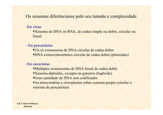 Os xenomas diferéncianse polo seu tamaño e complexidade

        -En virus
              Xenoma de DNA ou RNA, de cadea simple ou dobre, circular ou
            lineal.

        - En procariotas
             Un só cromosoma de DNA circular de cadea dobre
             DNA extracromosómico circular de cadea dobre (plásmidos)

        -En eucariotas
             Múltiples cromosomas de DNA lineal de cadea doble
             Xenoma diploides, excepto en gametos (haploide)
             Gran cantidade de DNA non codificador
             As mitocondrias e cloroplastos teñen xenoma propio (similar o
            xenoma de procariotas)



I.E.S. Otero Pedrayo.
       Ourense
 