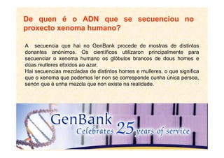 De quen é o ADN que se secuenciou no
proxecto xenoma humano?

A secuencia que hai no GenBank procede de mostras de distintos
donantes anónimos. Os científicos utilizaron principalmente para
secuenciar o xenoma humano os glóbulos brancos de dous homes e
dúas mulleres elixidos ao azar.
Hai secuencias mezcladas de distintos homes e mulleres, o que significa
que o xenoma que podemos ler non se corresponde cunha única persoa,
senón que é unha mezcla que non existe na realidade.
 