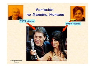 Variación
                        no Xenoma Humano
                 99.9% idéntico
                                           99.9% idéntica




I.E.S. Otero Pedrayo.
       Ourense
 