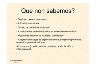 Que non sabemos?
          - O número exacto dos xenes.
          - A función da maioría.
          - O xeito de como interaccionan.
          - A maioría dos xenes implicados en enfermidades comúns.
          - Moitas das funcións do ADN non codificante.
          - A regulación exacta da expresión xénica, síntese de proteínas
          e eventos postrasduccionais.
          -O proteoma (contido total de proteínas, a súa función e
          interrelacións).
          - ...


I.E.S. Otero Pedrayo.
       Ourense
 