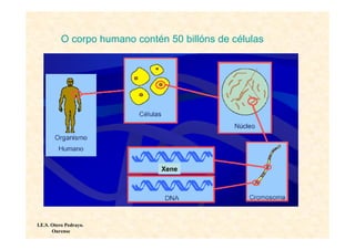 O corpo humano contén 50 billóns de células




                               Xene




I.E.S. Otero Pedrayo.
       Ourense
 