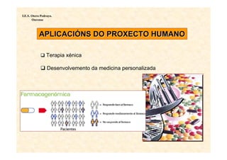 I.E.S. Otero Pedrayo.
       Ourense



           APLICACIÓNS DO PROXECTO HUMANO

                Terapia xénica

                 Desenvolvemento da medicina personalizada
 