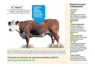 Proxectos de xenomas de especies domésticas (EEUU)
http://www.animalgenome.org/
 