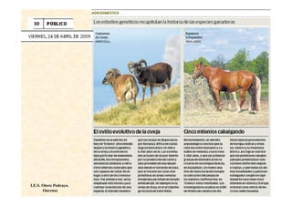 I.E.S. Otero Pedrayo.
       Ourense
 