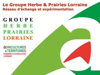 Le Groupe Herbe & Prairies Lorraine
Réseau d’échange et expérimentation
 