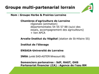 Groupe multi-partenarial lorrain
Nom : Groupe Herbe & Prairies Lorraine
Chambres d’agriculture de Lorraine
régionale (animation)
départementales 54 55 57 88 (suivi des
essais, accompagnement des agriculteurs)
+ lien APCA
Arvalis-Institut du Végétal (station de St-Hilaire 55)
Institut de l’élevage
ENSAIA-Université de Lorraine
INRA (unité SAD-ASTER Mirecourt 88)
Semenciers partenaires : SdF, RAGT, OHS
Partenariat financier (CA) : Agence de l’eau RM
 