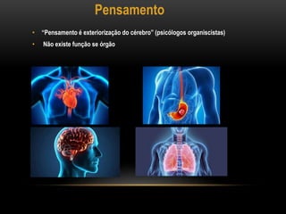 Pensamento
• “Pensamento é exteriorização do cérebro” (psicólogos organiscistas)
• Não existe função se órgão
 