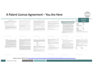 Structuring the Patent License Grant