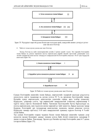 АРХАНГАЙ АЙМГИЙН ЭРДЭНЭМАНДАЛ СУМ 2016 он
Хуудас 75
Зураг 35. Чулуурхаг хөрстэй уулын болон цав толгодын орой, хажуугийн жижиг дэгнүүлт үетэн-
алаг өвс-агьт бэлчээр
4. Чийглэг голын нугын улалж-алаг өвст бэлчээр
Энэхүү бэлчээр нь нийт мониторингийн цэгийн 2 орчим хувийг эзэлнэ. Энэ төрлийн бэлчээрийн
төлөв байдал нь унаган төрхөөсөө нилээд өөрчлөгдсөн нарийн өвсний сэргэлтийг дэмжихийн тулд
энгийн хуваарьтай ашиглалтыг нэвтрүүлэх шаардлагатай ба бэлчээрийн ачааллыг 10-25 хувь бууруулж
ашиглана (Зураг 36).
Зураг 36 Чийглэг голын нугын улалж-алаг өвст бэлчээр.
Сумын бэлчээрийн өнөөгийн төлөв байдал, өөрчлөлтийг тодорхой шалгуур үзүүлэлтэд
үндэслэсэн сэргэх чадавхиар нь үнэлж үзэхэд 91 % нь ургамлан бүлгэмдлийн чанар,
бүтцийн хувьд өөрчлөгдсөн, ашиглалтын одоогийн горим, арга хэлбэр (ачааллыг
бууруулах, улирлаар сэлгэх, түр амраах)-ийг шаардлагатай хэмжээнд өөрчилснөөр 5
хүртэл жилд сэргээх боломжтой байна. Ургамлан бүлгэмдлийн бүтэц бүрэлдэхүүн нь
нэлээд өөрчлөгдсөн, мөн түүнчлэн өнгөн хөрсний ус чийг шингээх, барьж хадгалах чанар
буурсан, бэлчээрийг урт хугацаагаар ашиглалтаас чөлөөлөх, малын ачааллыг нэлээд
бууруулах замаар сэргээхэд 5-10 жил шаардлагатай түвшинд хүрсэн бэлчээр 4 %-ийг
эзэлж байна.
Тус сумын бэлчээрийн газрын чадавхи болон төлөв байдлын өнөөгийн түвшин дээр
үндэслэн малын боломжит даацыг тооцож үзэхэд байх ёстой хэмжээнээс дунджаар 4
дахин хэтэрсэн байна. Хан-өндөр, Эрдэнэ-уул багийн нутгаар бэлчээрийн даац 6-7 дахин
хэтэрсэн байна (Зураг 37).
 