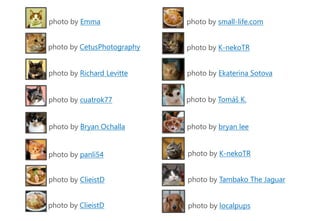 photo by Emma
photo by CetusPhotography
photo by Richard Levitte
photo by cuatrok77
photo by Bryan Ochalla
photo by panli54
photo by ClieistD
photo by ClieistD
photo by small-life.com
photo by K-nekoTR
photo by Ekaterina Sotova
photo by Tomáš K.
photo by bryan lee
photo by K-nekoTR
photo by Tambako The Jaguar
photo by localpups
 