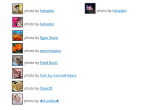 photo by hehaden
photo by hehaden
photo by Egan Snow
photo by monetmama
photo by Farid Bueri
photo by Cats by moonwhiskers
photo by ClieistD
photo by ★Kumiko★
photo by hehaden
 