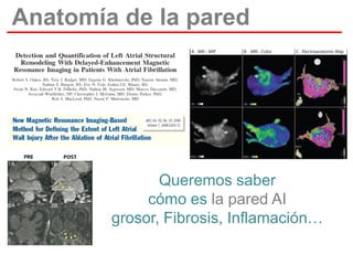 Anatomía de la pared

Queremos saber
cómo es la pared AI
grosor, Fibrosis, Inflamación…

 