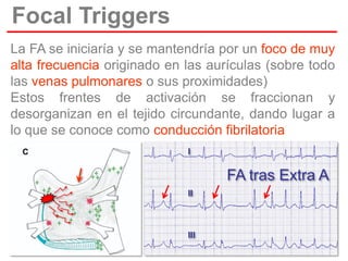 Focal Triggers
La FA se iniciaría y se mantendría por un foco de muy
alta frecuencia originado en las aurículas (sobre todo
las venas pulmonares o sus proximidades)
Estos frentes de activación se fraccionan y
desorganizan en el tejido circundante, dando lugar a
lo que se conoce como conducción fibrilatoria
I

FA tras Extra A
II

III

 