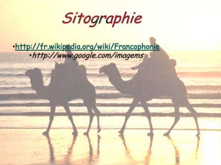 le plus grand port de commerce