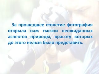 За прошедшее столетие фотография открыла нам тысячи неожиданных аспектов природы, красоту которых до этого нельзя было представить. 