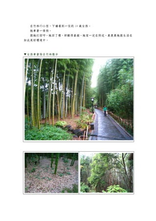 在竹林の小徑，ㄚ嬌看到一位約 10 歲女孩。
  她牽著一條狗。
  跟她打招呼，她回了禮，卻顯得羞赧，她家一定在附近，真羨慕她能生活在
如此美好環境中。



▼女孩牽著狗自竹林散步
 