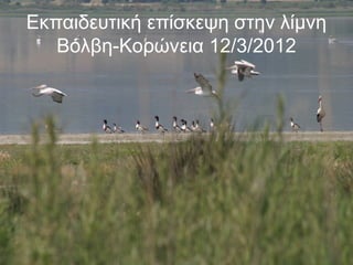 Εκπαιδευτική επίσκεψη στην λίμνη
Βόλβη-Κορώνεια 12/3/2012
 