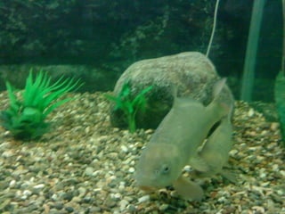 περιβαλλοντική ομάδα 19ου γυμνασίου