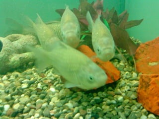 περιβαλλοντική ομάδα 19ου γυμνασίου