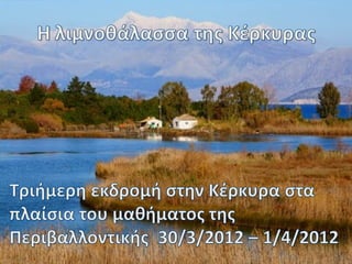 περιβαλλοντική ομάδα 19ου γυμνασίου